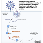 The virologist is in: Remdesivir and the Coronavirus